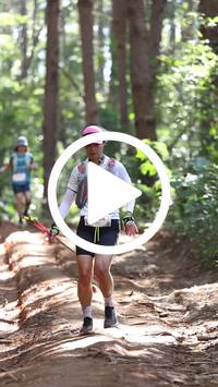 BIB:  <button type="button" onclick="openModal(26569514)" class="btn btn-primary btn-sm float-right" data-toggle="modal" data-target=".modal-high-quality">
                <i class="fa fa-download"></i> Download
                </button>